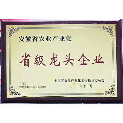 2012省級龍頭企業