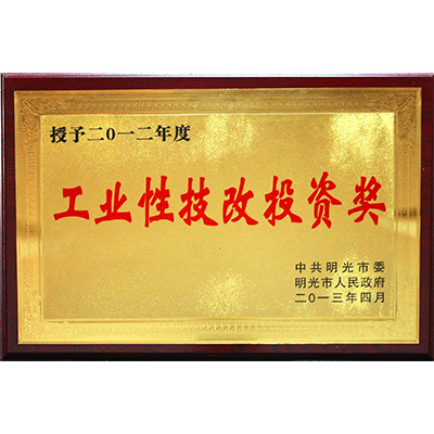 工業性技改投資獎